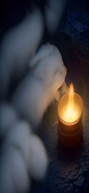 泰剧网App播放页面,全屏播放泰剧时下方弹出清晰的控制条与选集清单